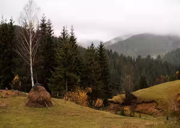 Servicii profesionale de confecții textile personalizate